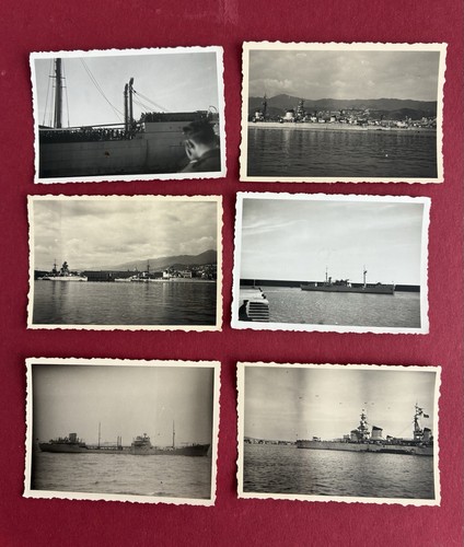 Org foto 20x - org., wk2
